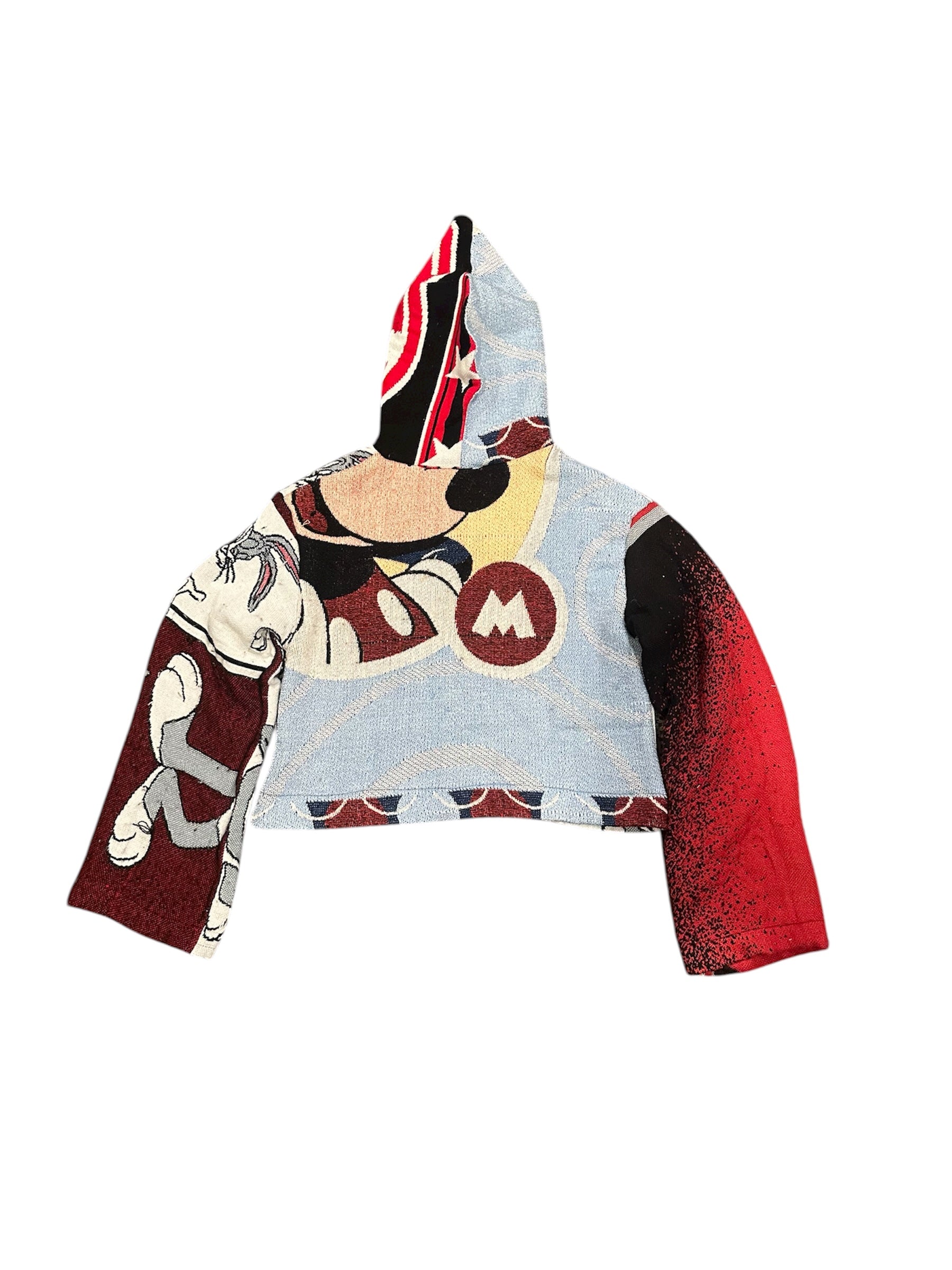 Size M 1/1 bugs tapestry hoodie